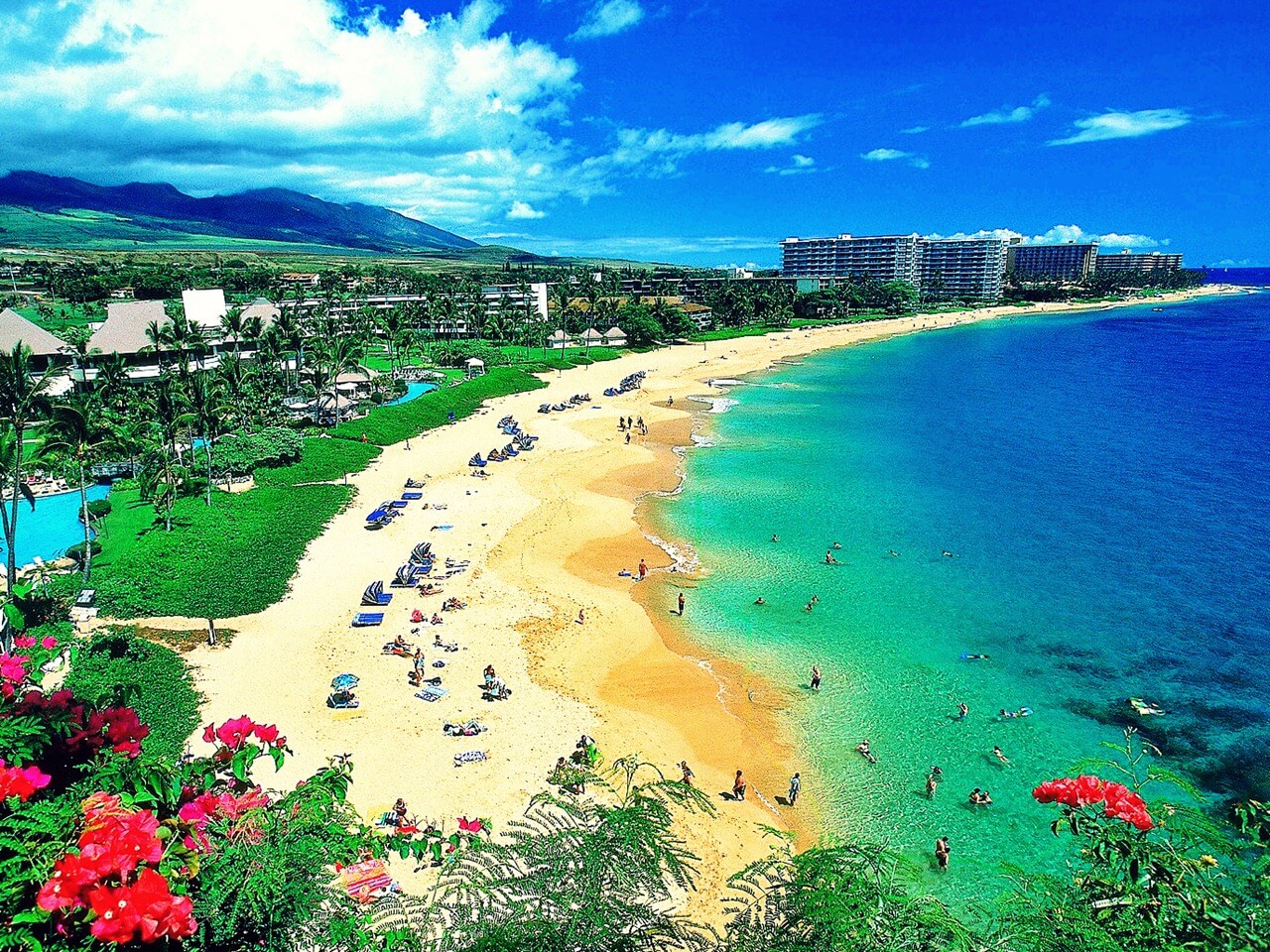 maui-beach-hawaii