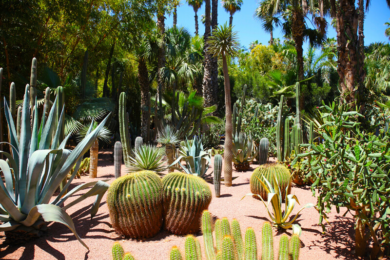 Marrakech - Jardim Majorelle