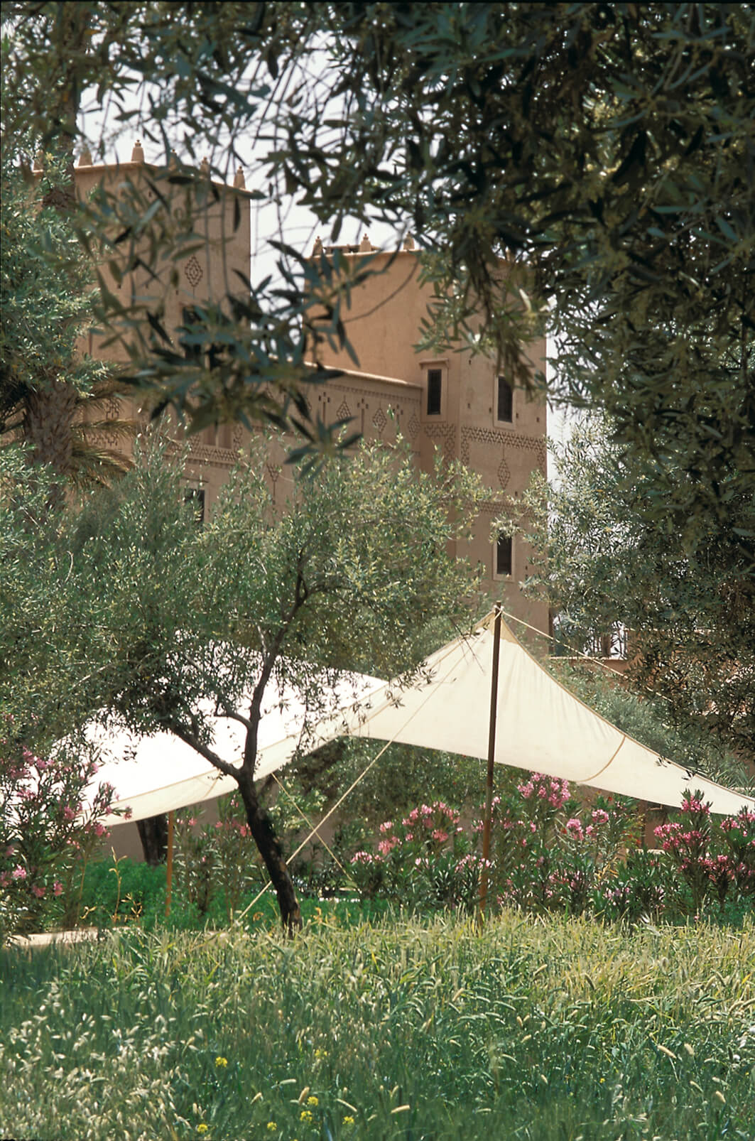 Maison Jardins Dar Ahlam0505073jaussaud