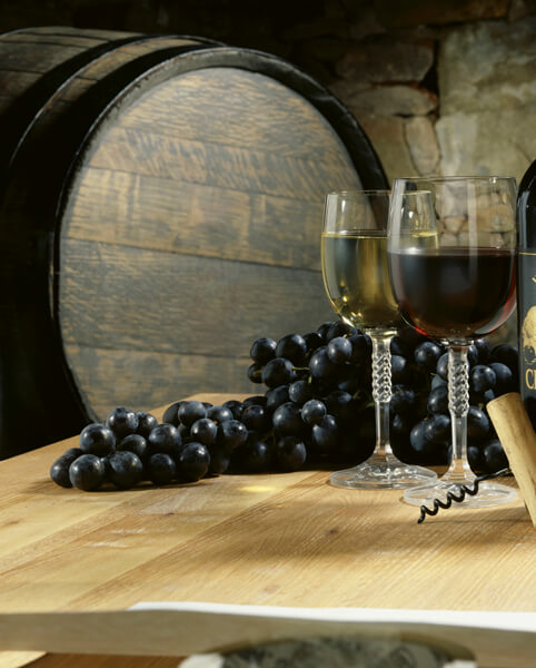 1.1 Split - Passeios - Terra Wine Cellars