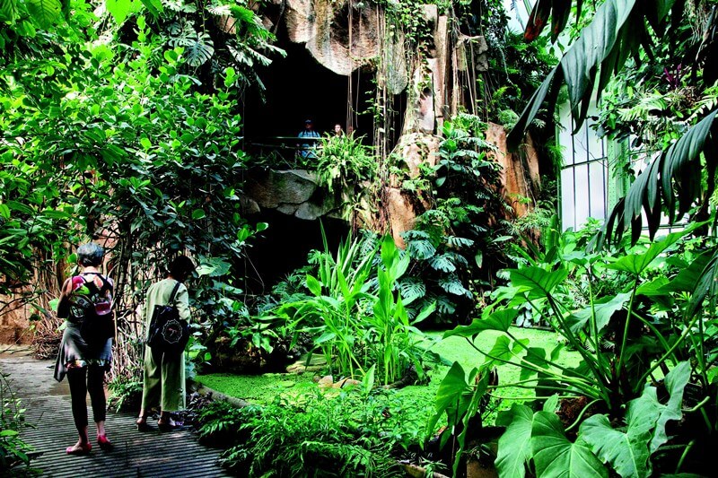 Jardin des Plantes