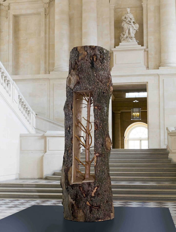 giuseppepenoneversailles7