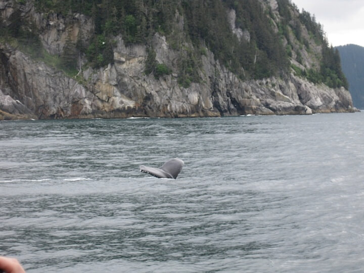 alaska 13