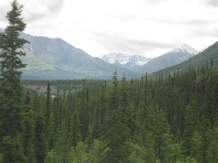 alaska 18