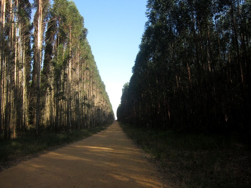 00IMG_9646