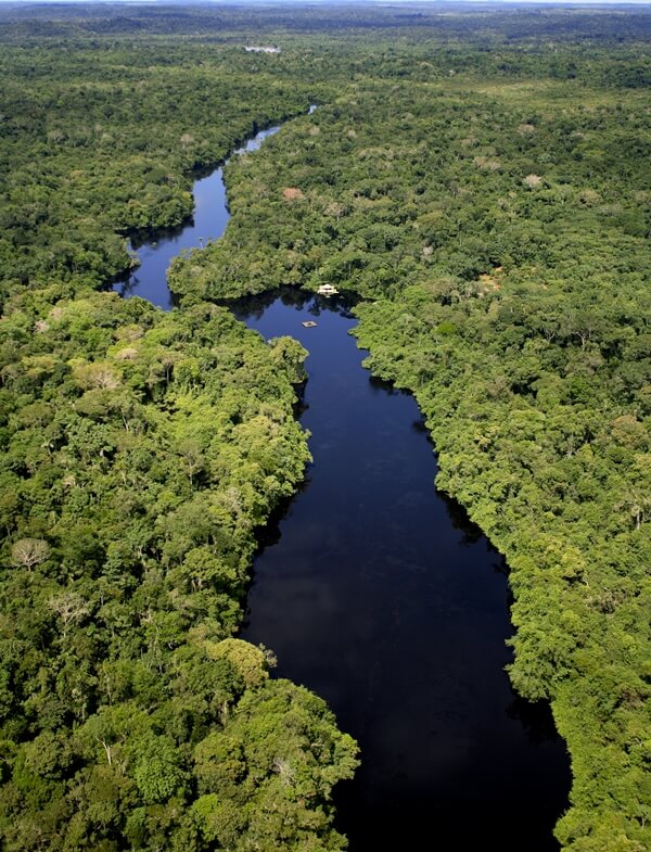 RFB Cristalino Jungle Lodge - Cristalino Lodge Aerial View - Edson Endrigo