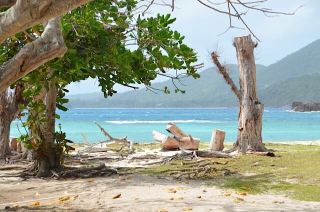 seychelles curieuse