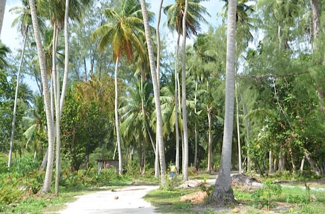 seychelles la digue