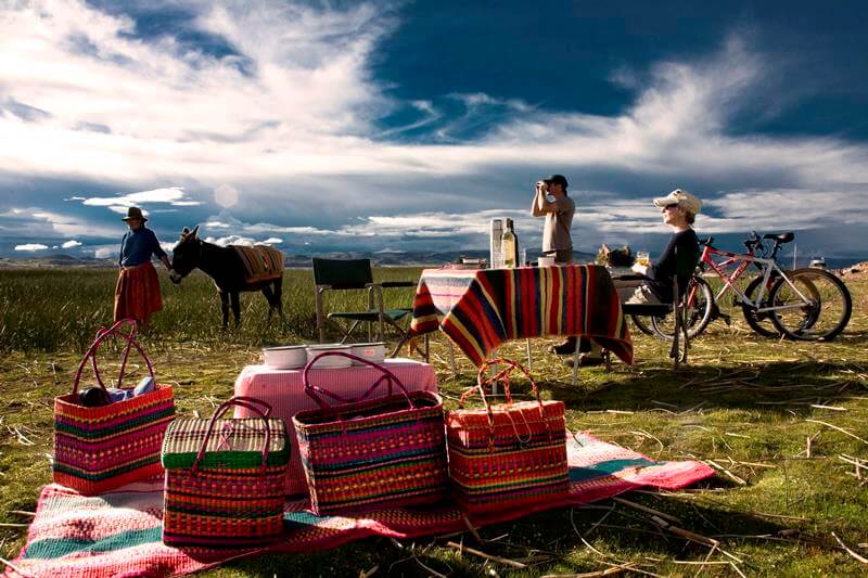 Picnic
