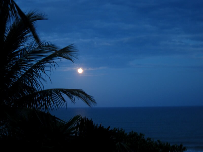 luaIMG_0354
