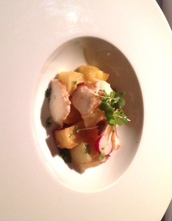 Salada morna de polvo e batatas Foto: magari blu