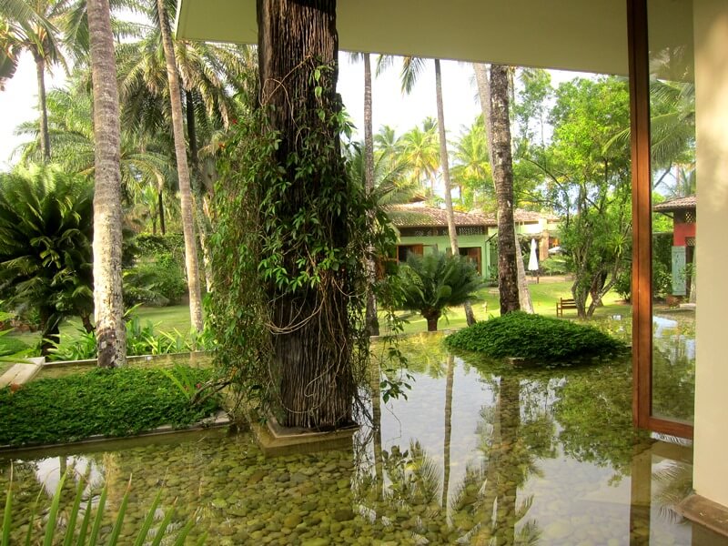 salaleituraIMG_0389