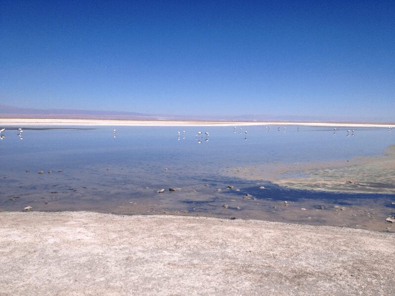 Atacama 2 Salar de Atacama
