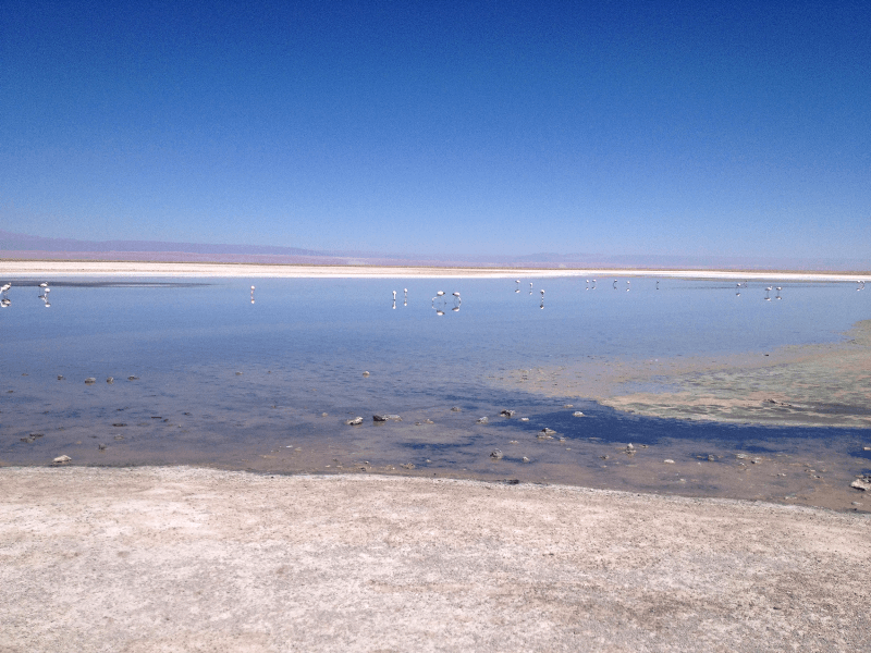 Atacama 2 Salar de Atacama