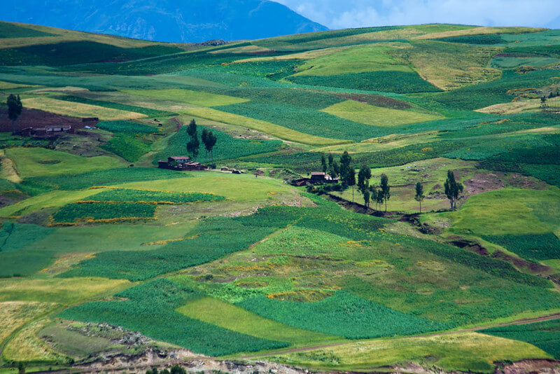 Cusco (30)