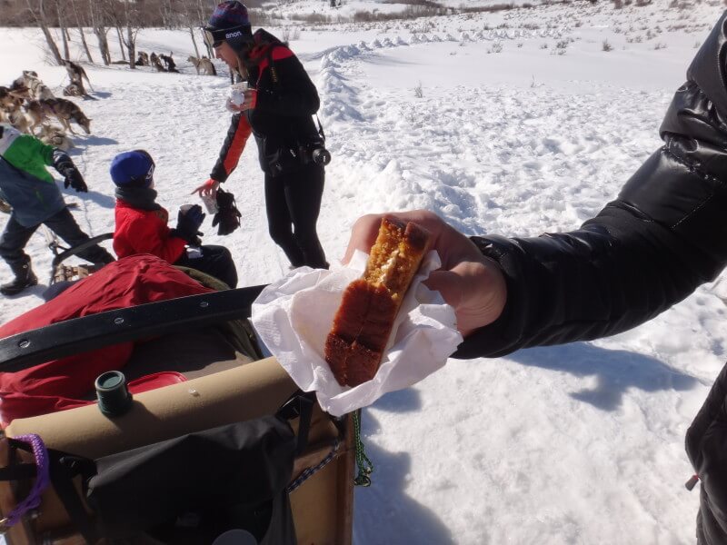 Dog sledding - Vail