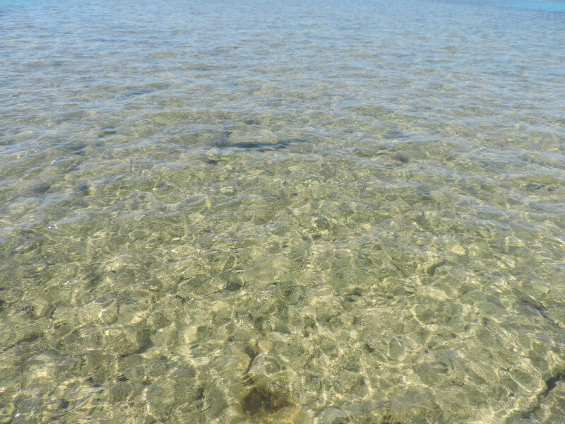 Praia do Patacho