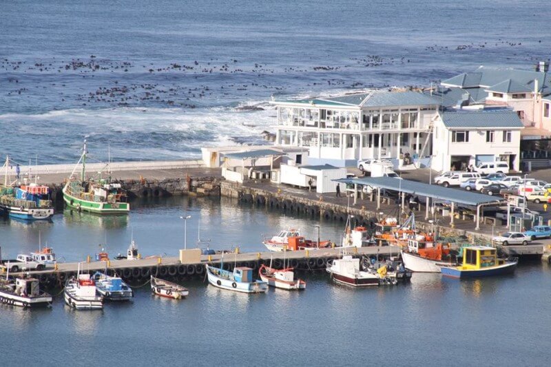 Harbor House