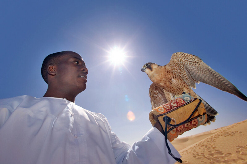 Falcon Hospital Abu Dhabi