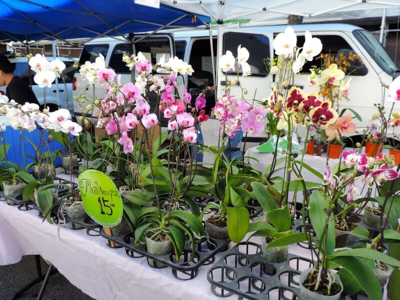 Farmers Market Santa Monica