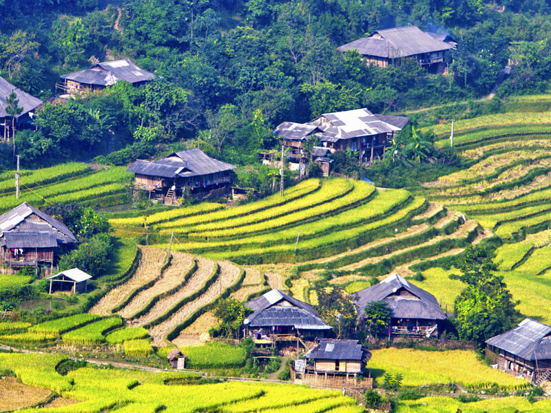 Bali