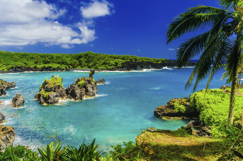 MauiFoto: Teresa Perez Tours