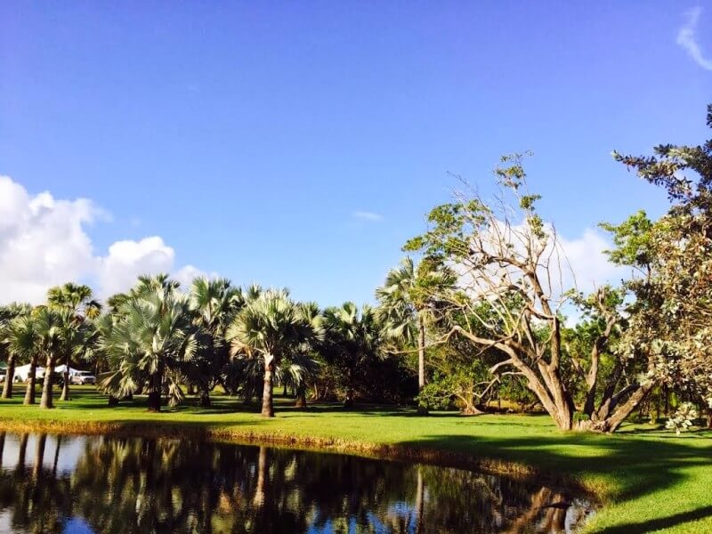 Fairchild Tropical Botanic GardensFoto: Blog Viva Miami
