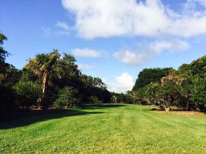 Fairchild Tropical Botanic GardensFoto: Blog Viva Miami