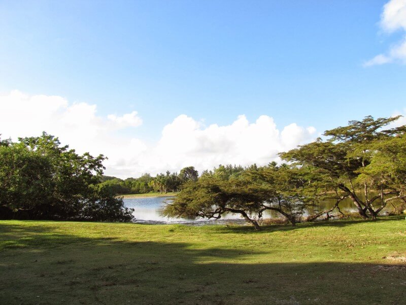 Fairchild Tropical Botanic GardensFoto: Blog Viva Miami
