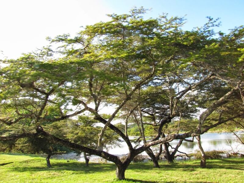 Fairchild Tropical Botanic GardensFoto: Blog Viva Miami