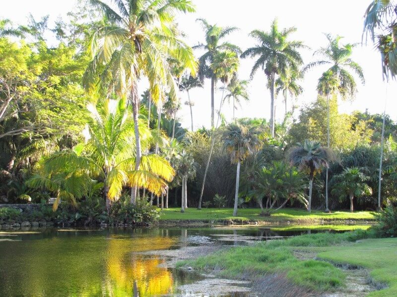 Fairchild Tropical Botanic GardensFoto: Blog Viva Miami