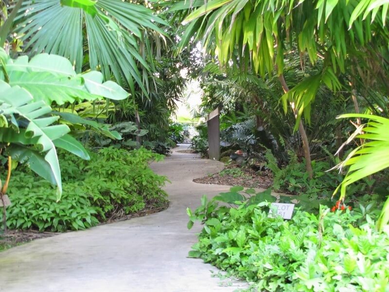 Fairchild Tropical Botanic GardensFoto: Blog Viva Miami