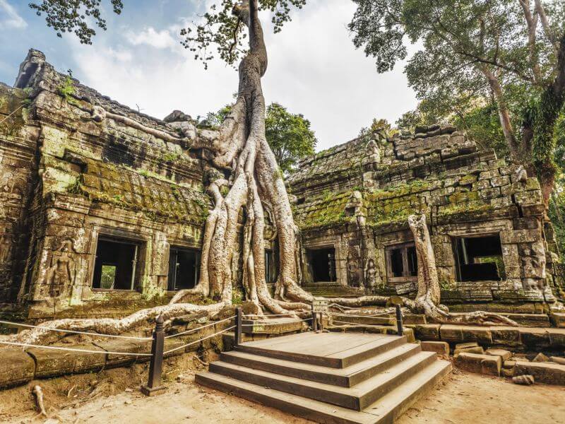 Prohm Temple em AngkorFoto: Teresa Perez Tours