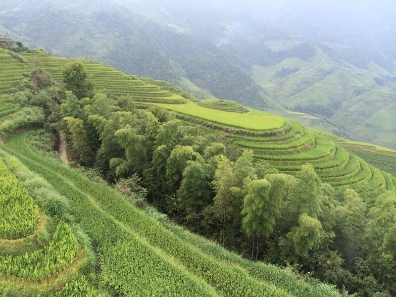 Longji Terrace  Foto: Luiza Rodas