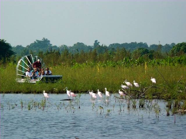 Everglades National ParkFoto: Reprodução