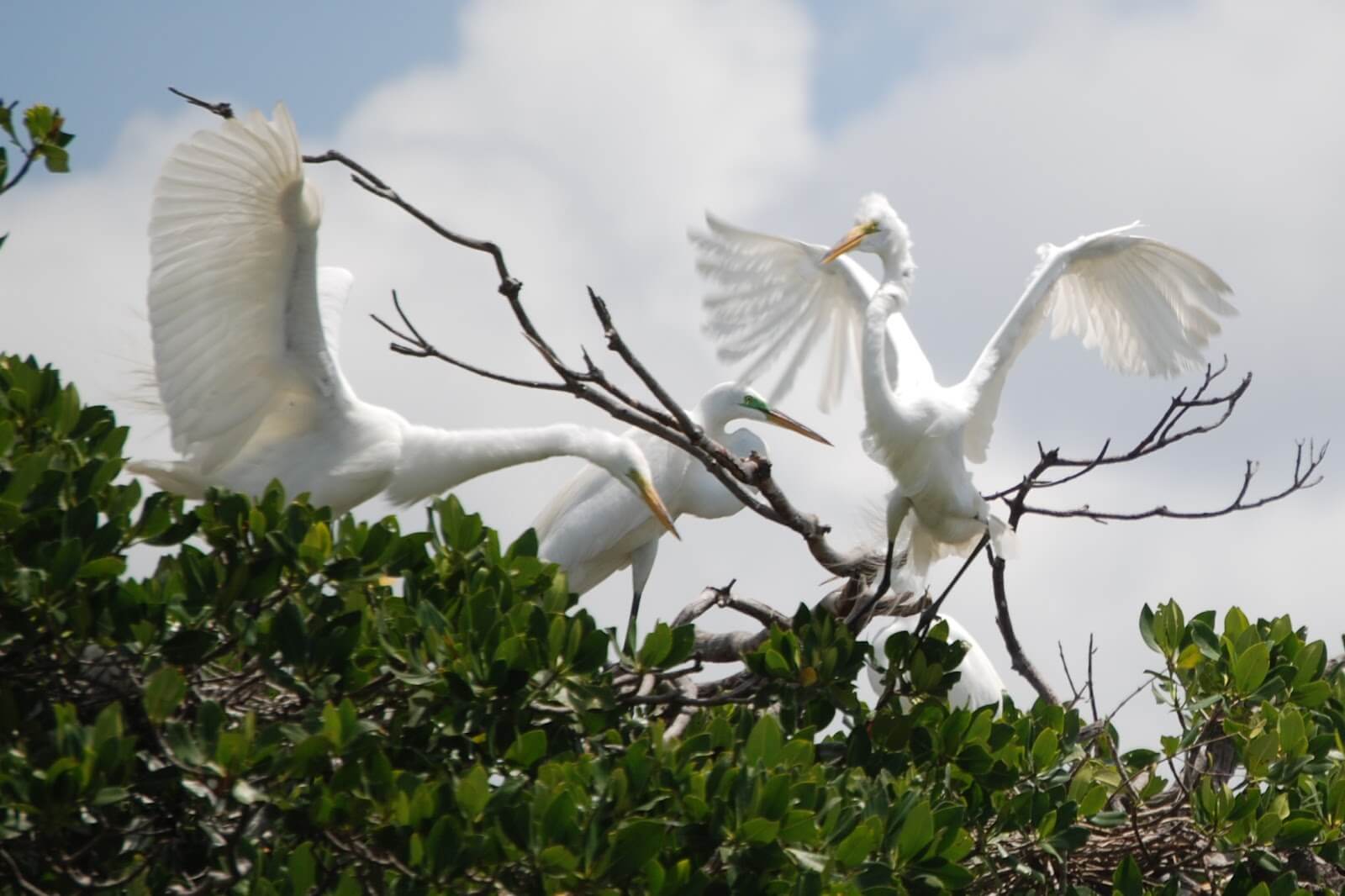 Everglades National ParkFoto: Reprodução