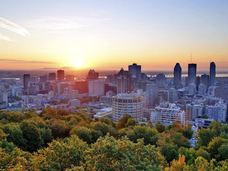 Mount Royal ParkFoto: Teresa Perez Tours