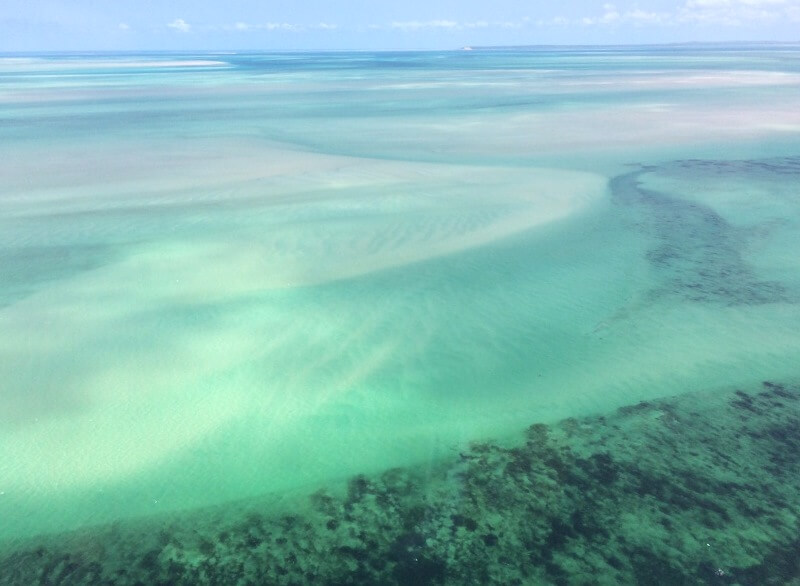 Mais uma: beleza!Foto: magari blu