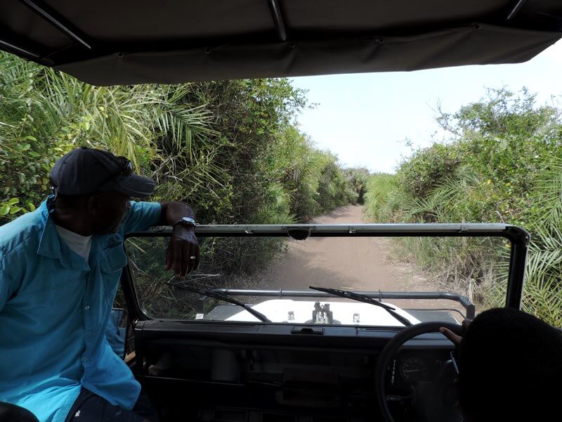 Passeio de 4x4 pela ilhaFoto: magari blu