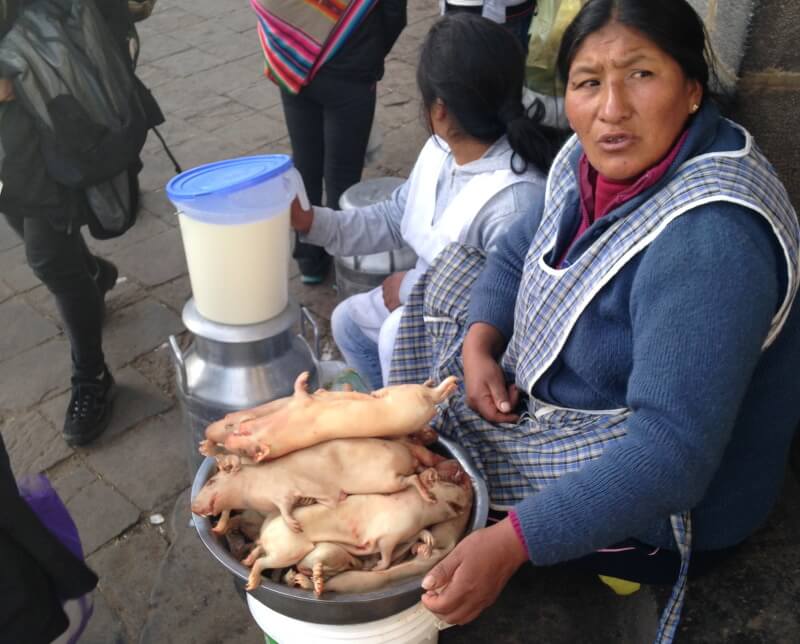 O cuy no Mercado San Pedro em Cusco Foto: Rogeria Pinheiro