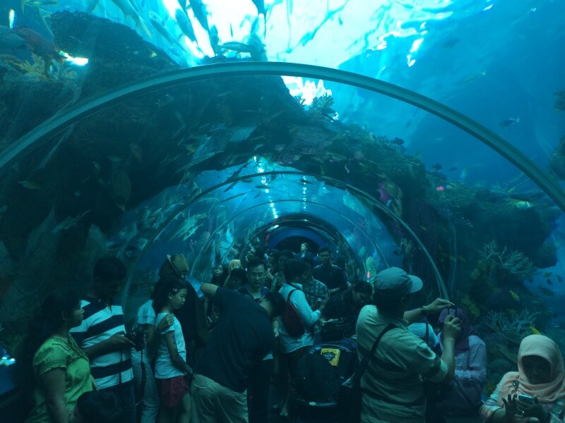 SEA AquariumFoto: Luiza Rodas