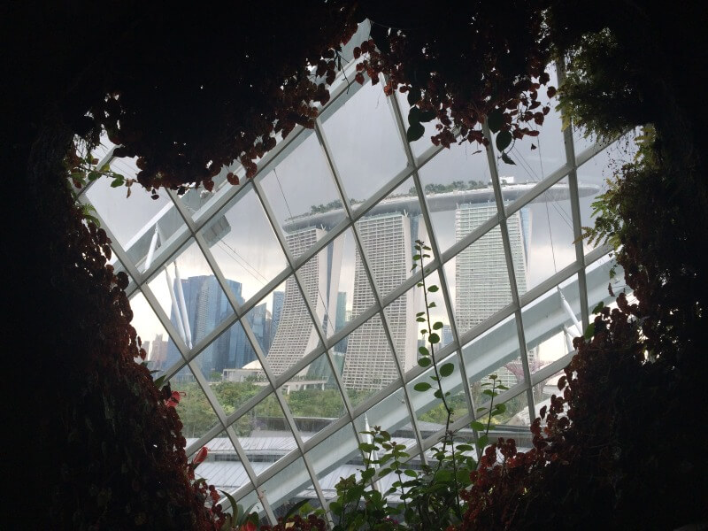 Gardens by the bayFoto: Luiza Rodas