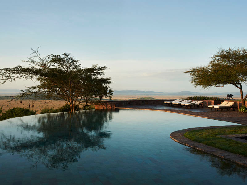 Singita Sasakwa na TanzâniaFoto: Teresa Perez Tours