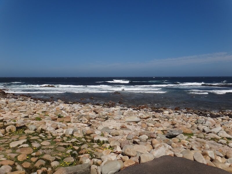 Em Cape PointFoto: magari blu