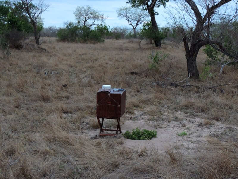 No meio da savana tinha uma caixaFoto: magari blu