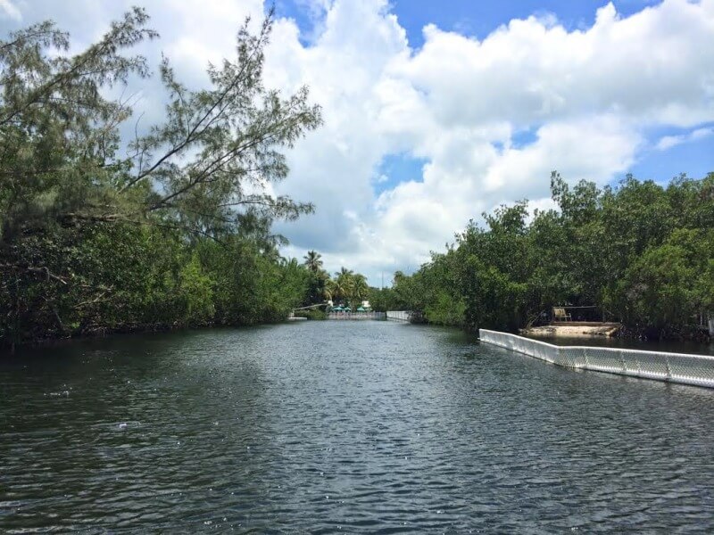 Theater of The SeaFoto: Blog Viva Miami
