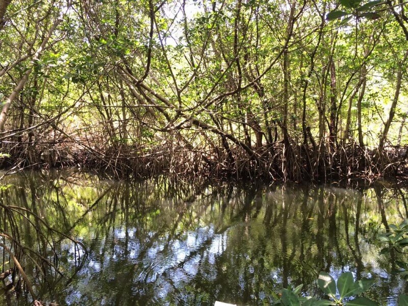 Theater of The SeaFoto: Blog Viva Miami