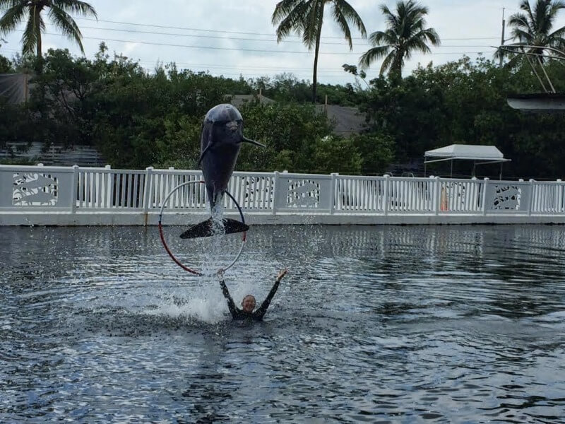 Theater of The SeaFoto: Blog Viva Miami