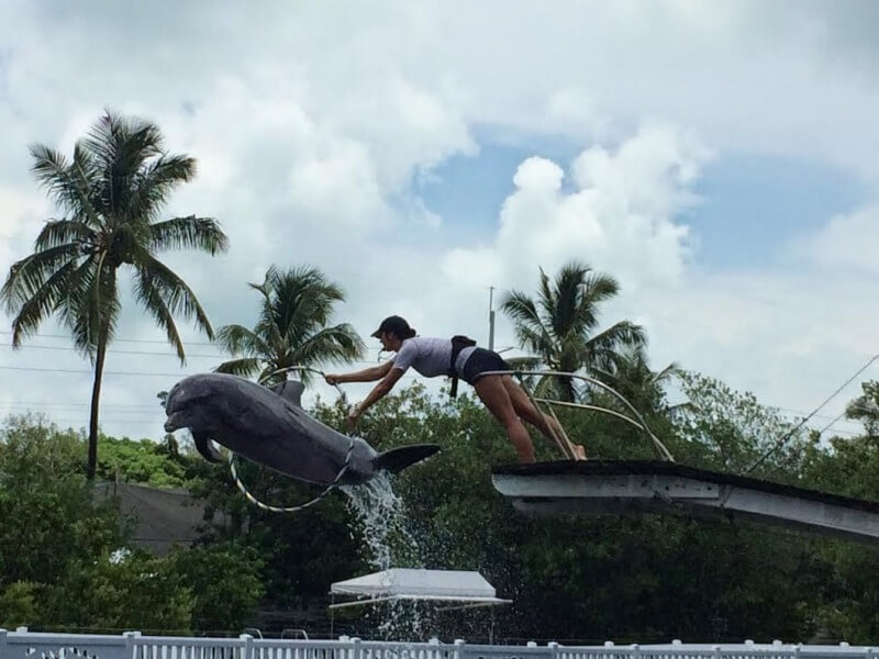 Theater of The SeaFoto: Blog Viva Miami