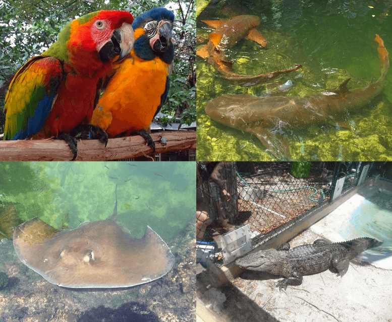 Theater of The SeaFoto: Blog Viva Miami